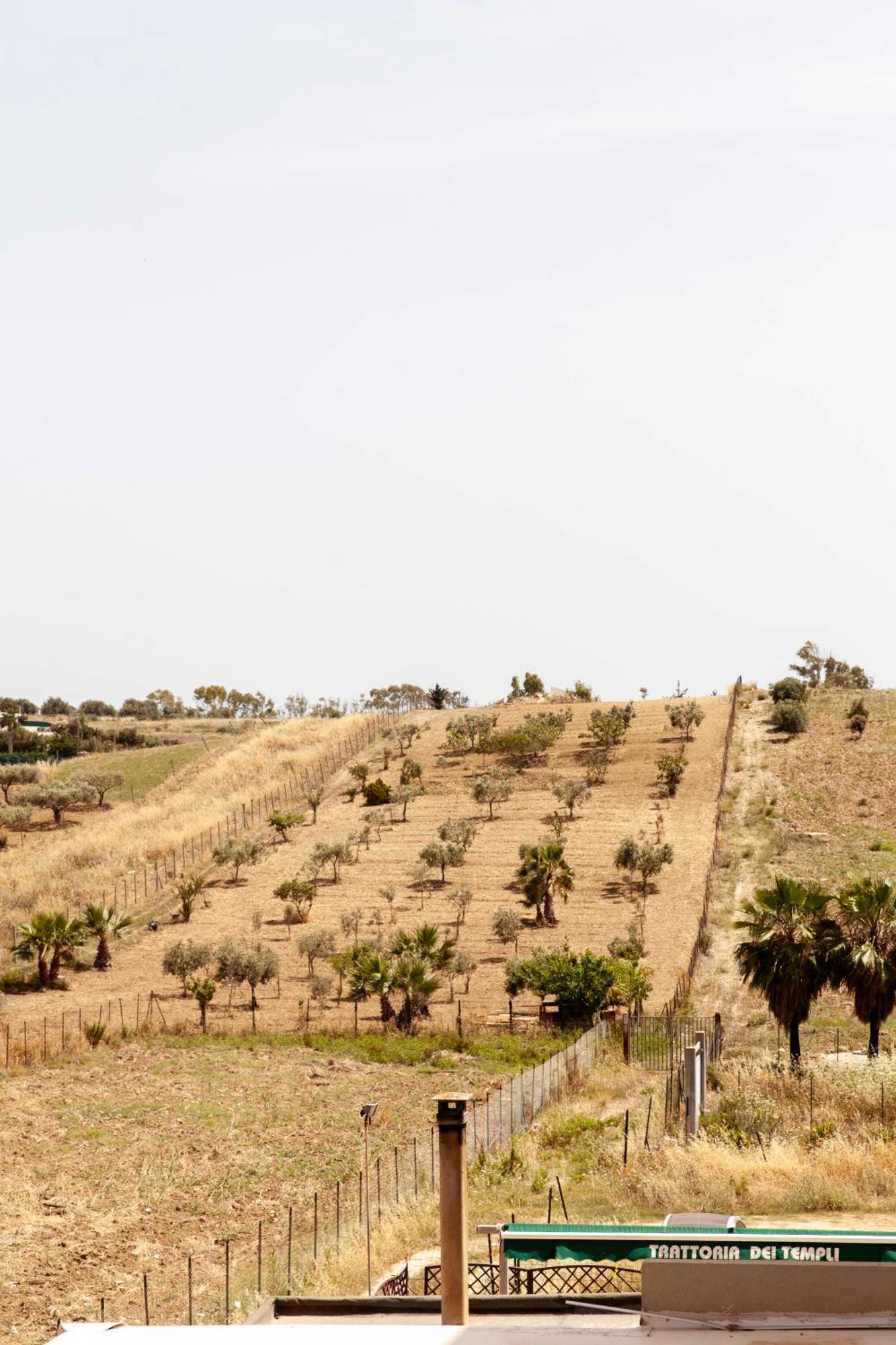 Le Case Di Lucioli' San Leone Bagian luar foto